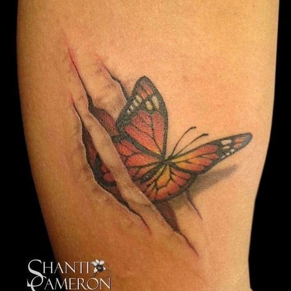 Meet your Posher, Laura - Picture 1 of 1